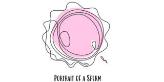 Große Eizelle neben klitzekleinem Spermium untertitelt mit "Portrait of a Sperm"